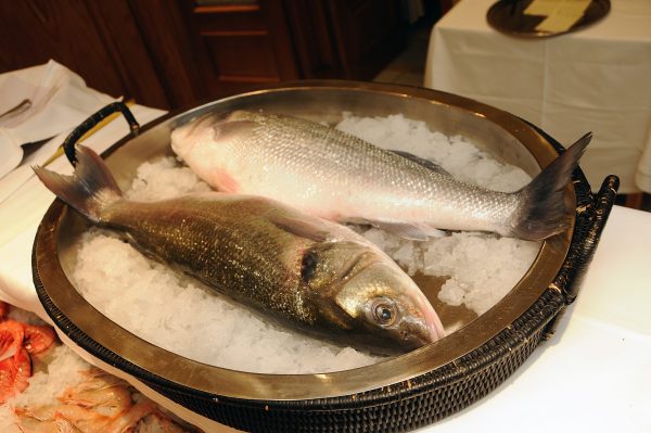 6 importantes consecuencias de no comer pescado a menudo - Restaurante Jaylu