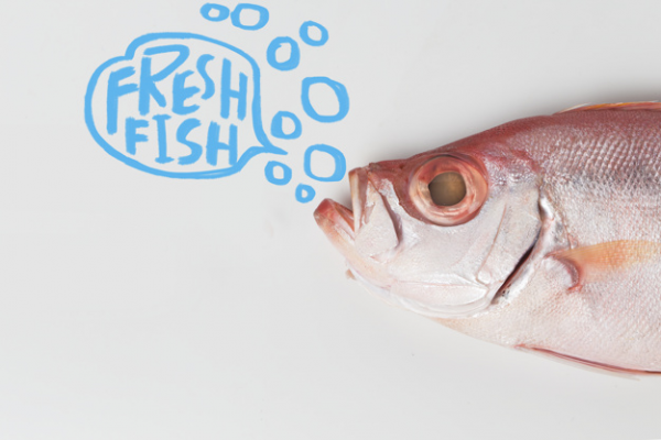 ¿Conoces las diferencias entre pescado de trasmallo y de anzuelo? - Restaurante Jaylu