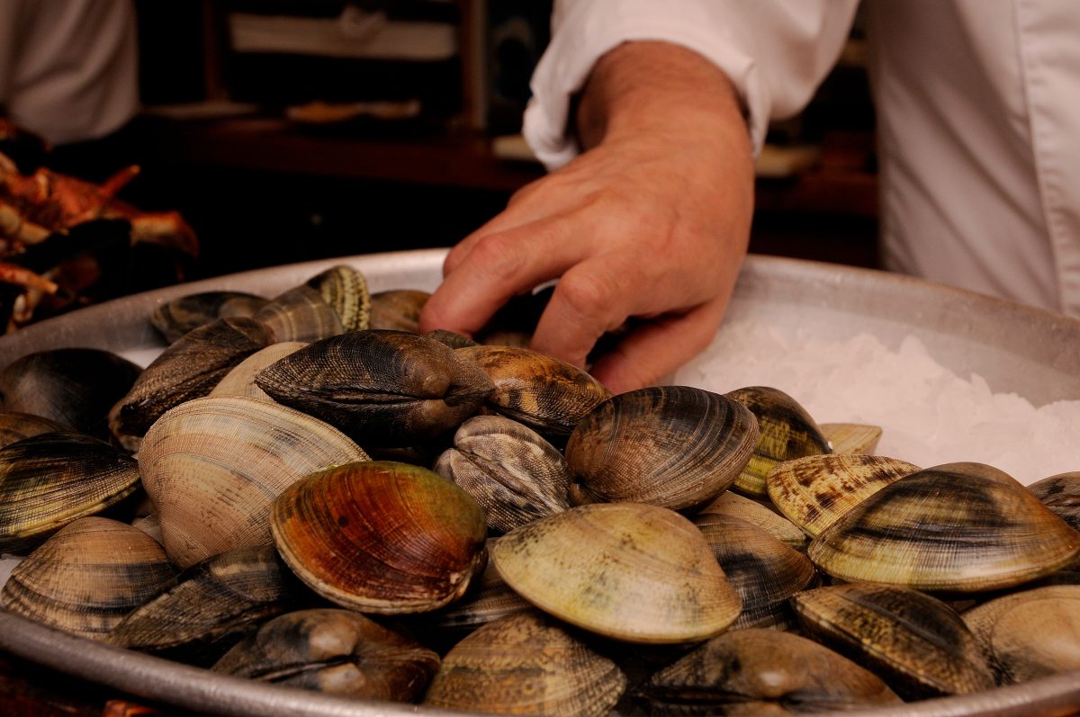 ¿Conoces los mejores productos del mar para cuidar tu salud? - Restaurante Jaylu