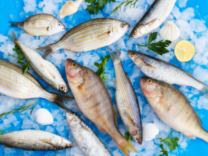 Diferencias entre pescado de trasmallo y de anzuelo - Restaurante Jaylu