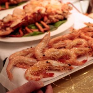 Diseno-sin-titulo-1-1-300x300 Inicio